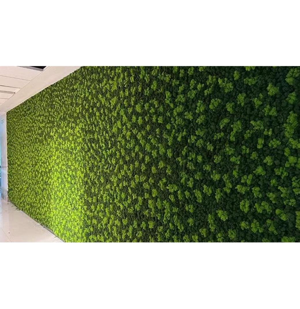 Leading Vertical Garden Supplier in Mumbai for Stylish Spaces - Greenlands