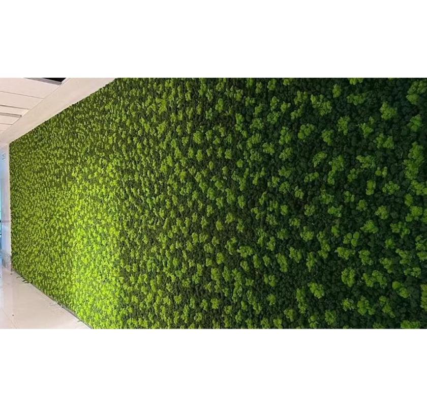 Leading Vertical Garden Supplier in Mumbai for Stylish Spaces - Greenlands