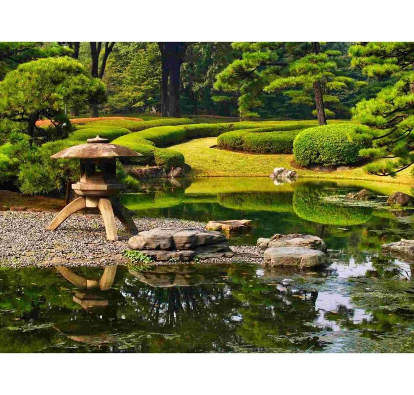 Tokyo Holidays Packages – Culture, Technology & Adventure