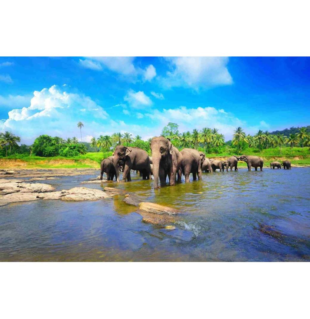 Sri Lanka Holidays Packages – Culture, Beaches & Adventure - 1/3