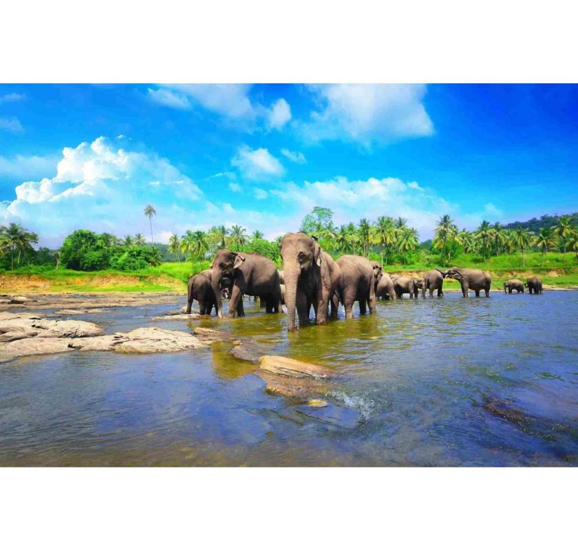 Sri Lanka Holidays Packages – Culture, Beaches & Adventure