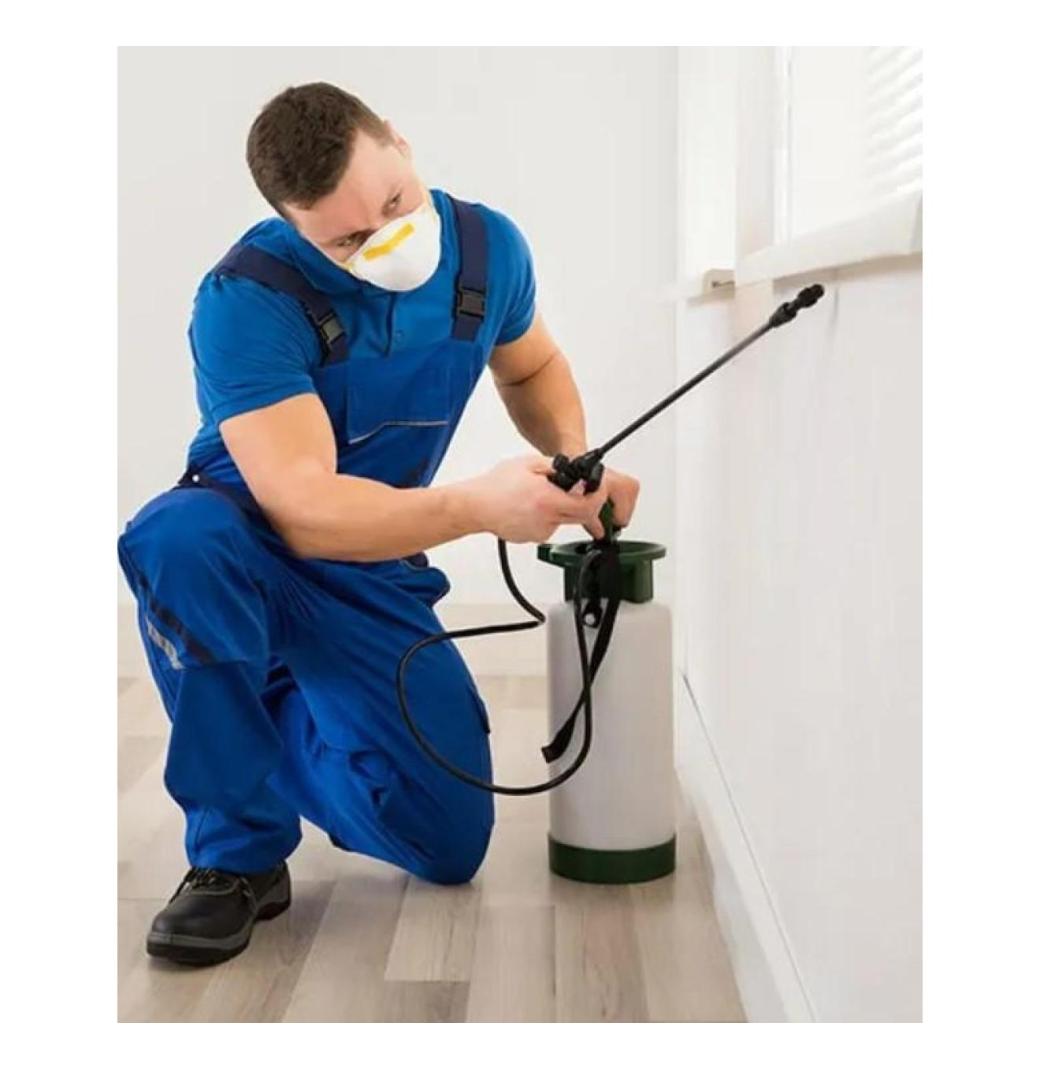 Emergency Pest Control London – Available Around the Clock