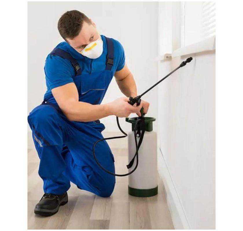 Emergency Pest Control London – Available Around the Clock