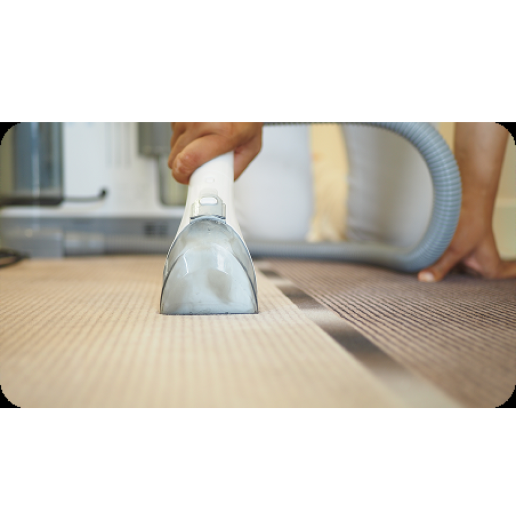 Bubbles Carpet Cleaning – Professional Carpet Cleaning You Can Trust