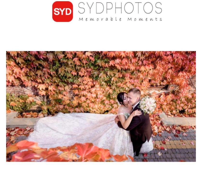 Small Wedding Ceremony Sydney – Intimate and Beautiful Celebrations with Sydphotos