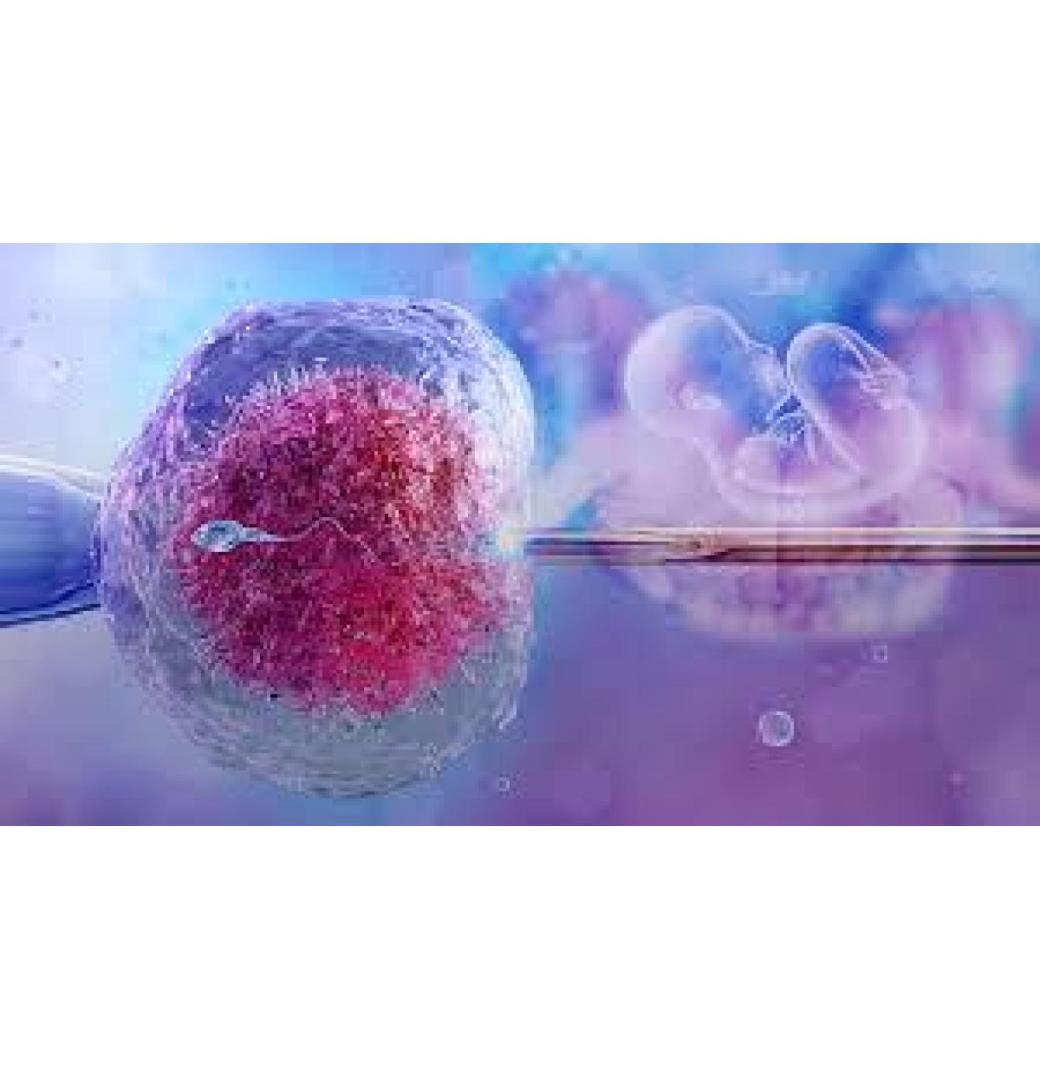 Affordable IVF Center in Jaipur: Low Cost Packages + Advanced ICSI	