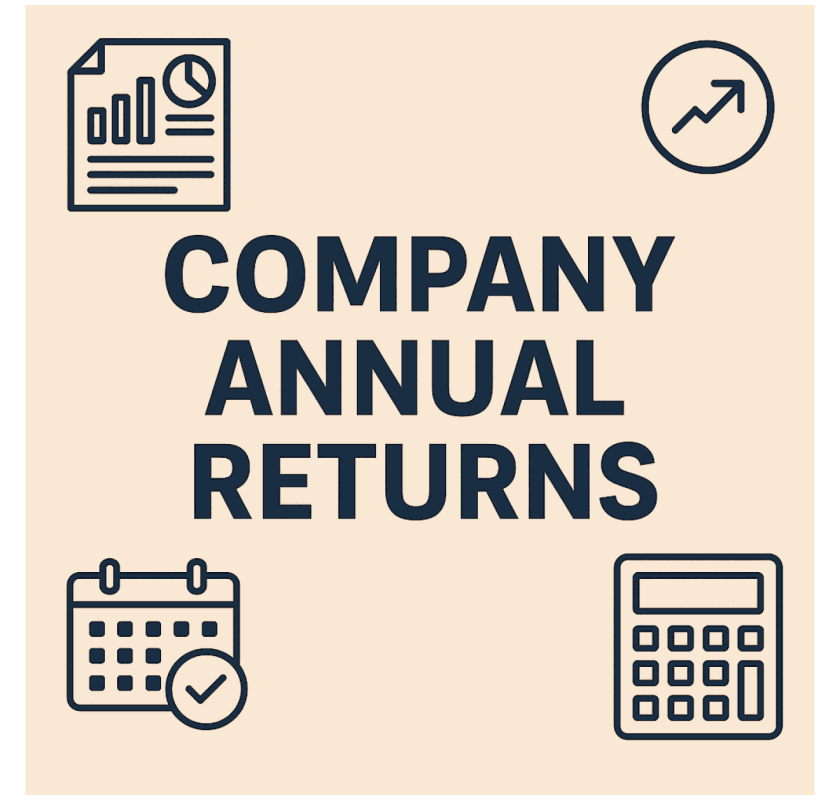 Company Annual Returns