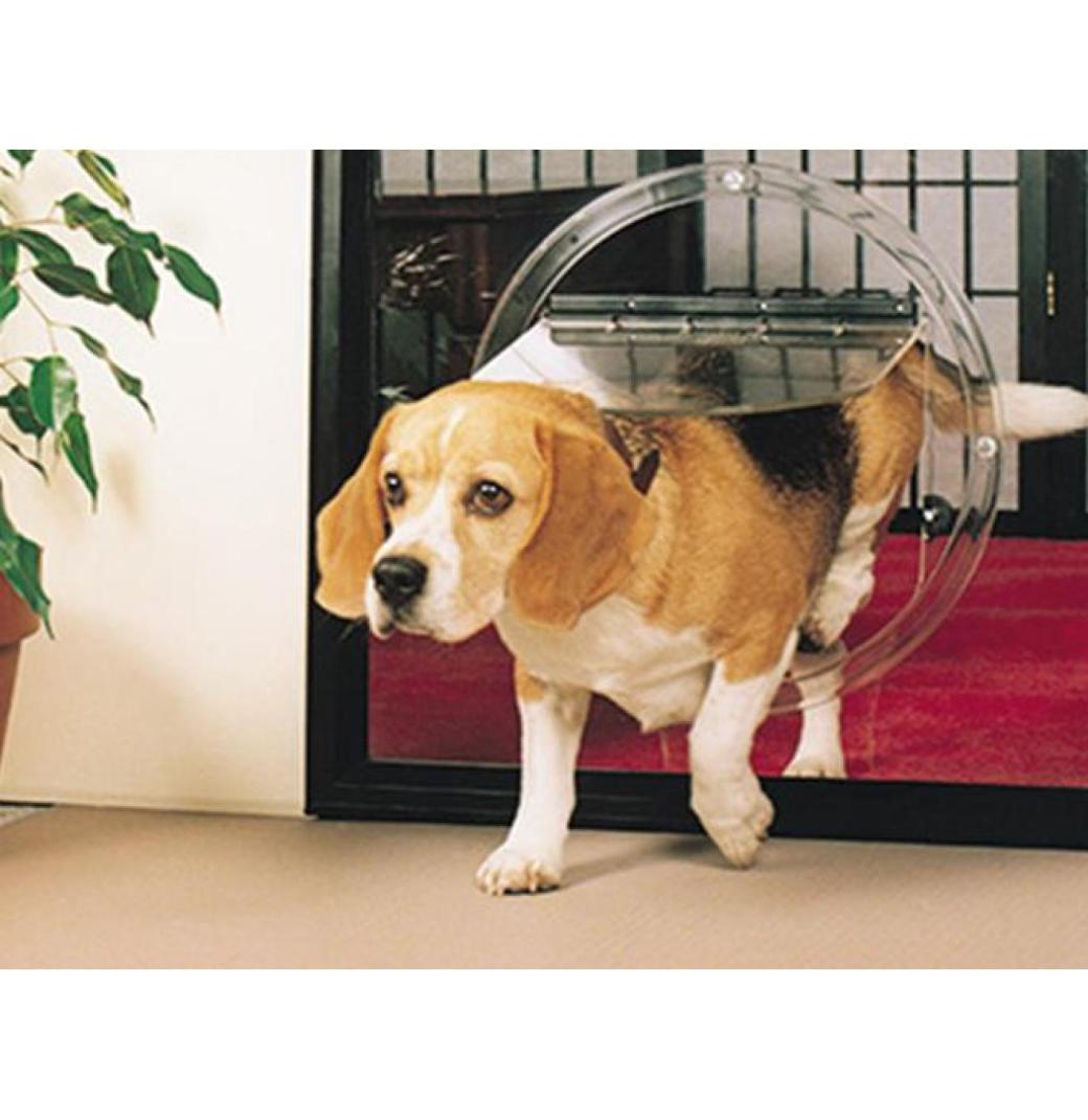 Pet Door Installation in Bassendean - 1/3
