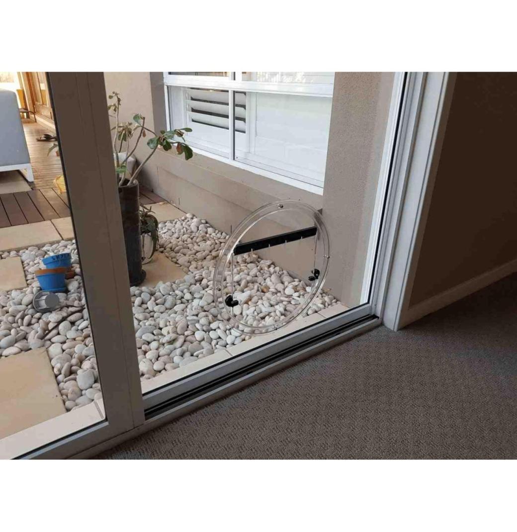 Pet Door Installation in Bassendean - 2/3