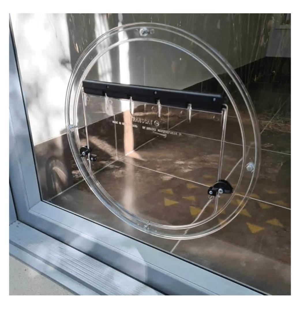 Pet Door Installation in Bassendean - 3/3