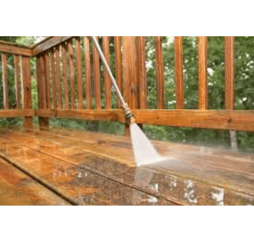 Backyard Cleaning In Bondi