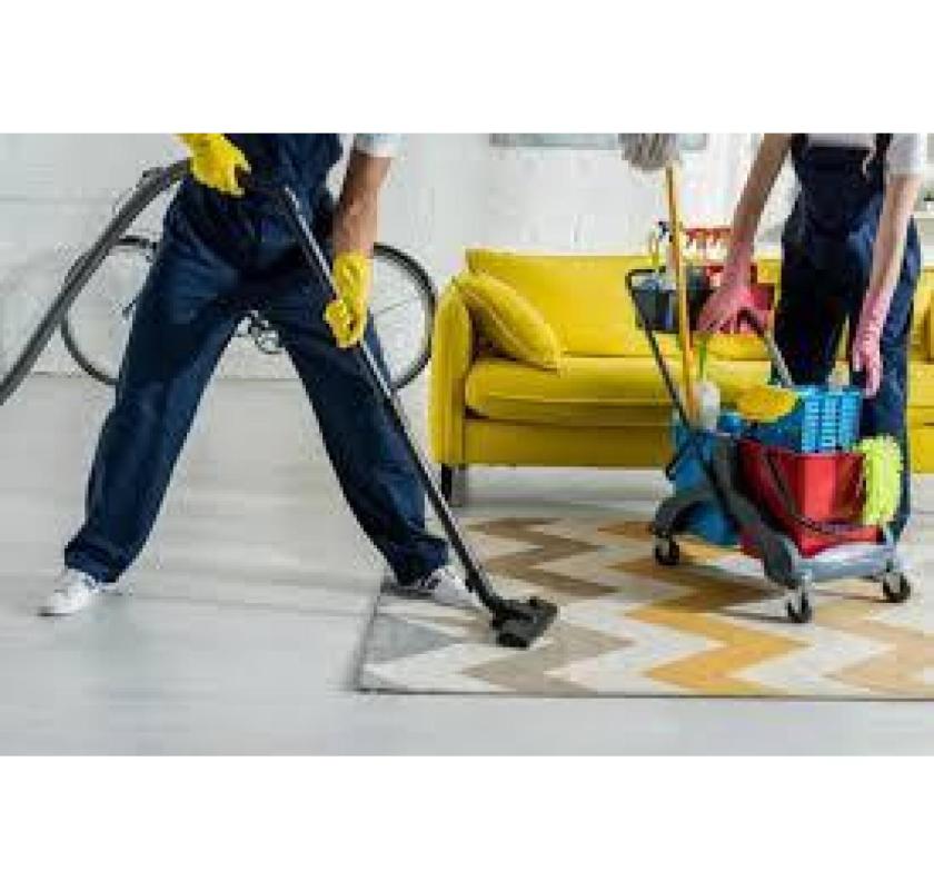 Eco-Friendly Carpet Cleaning in Craigie