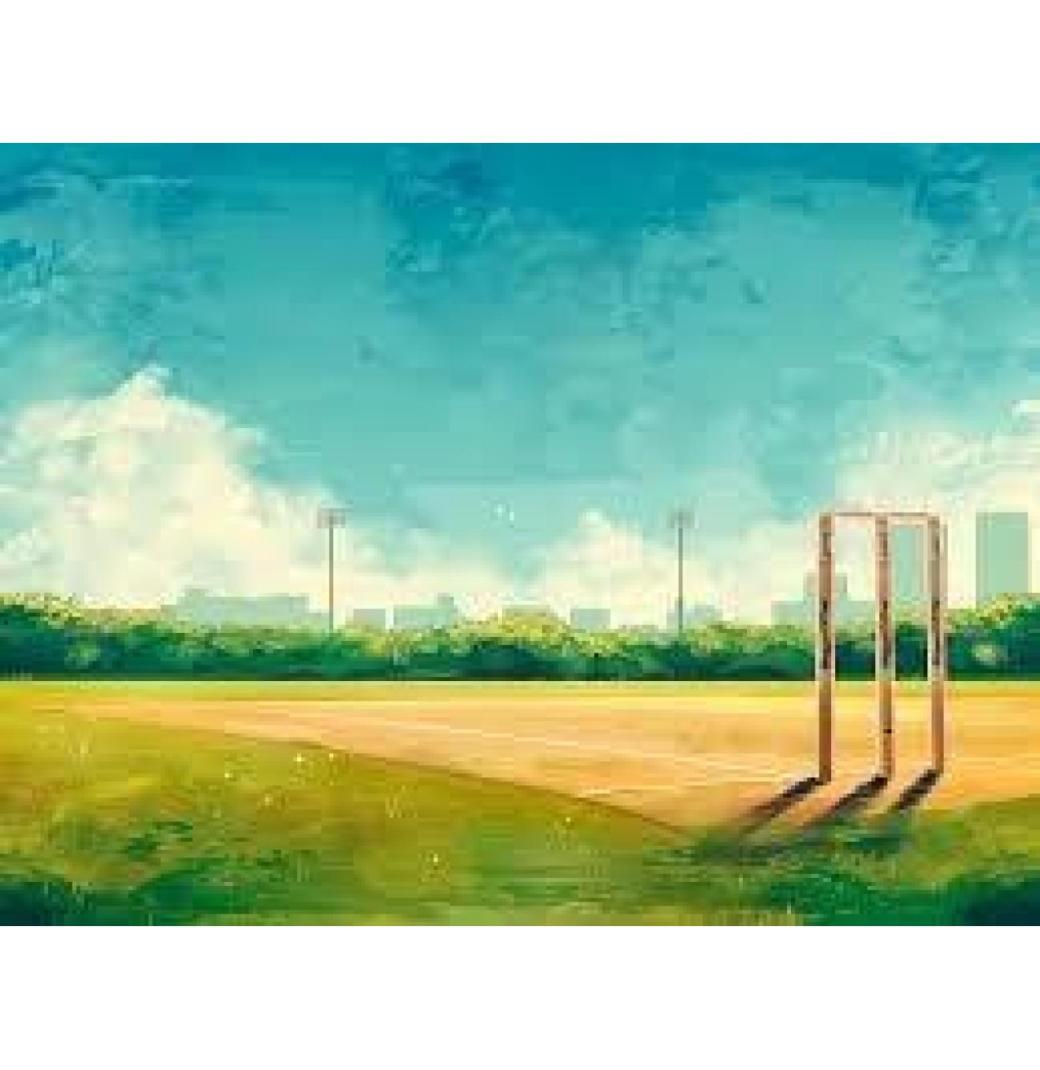 Order Now from India’s Best Cricket Turf Manufacturer