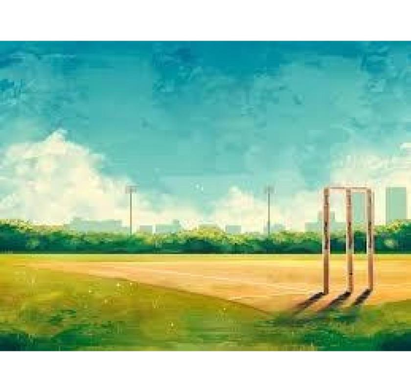 Order Now from India’s Best Cricket Turf Manufacturer