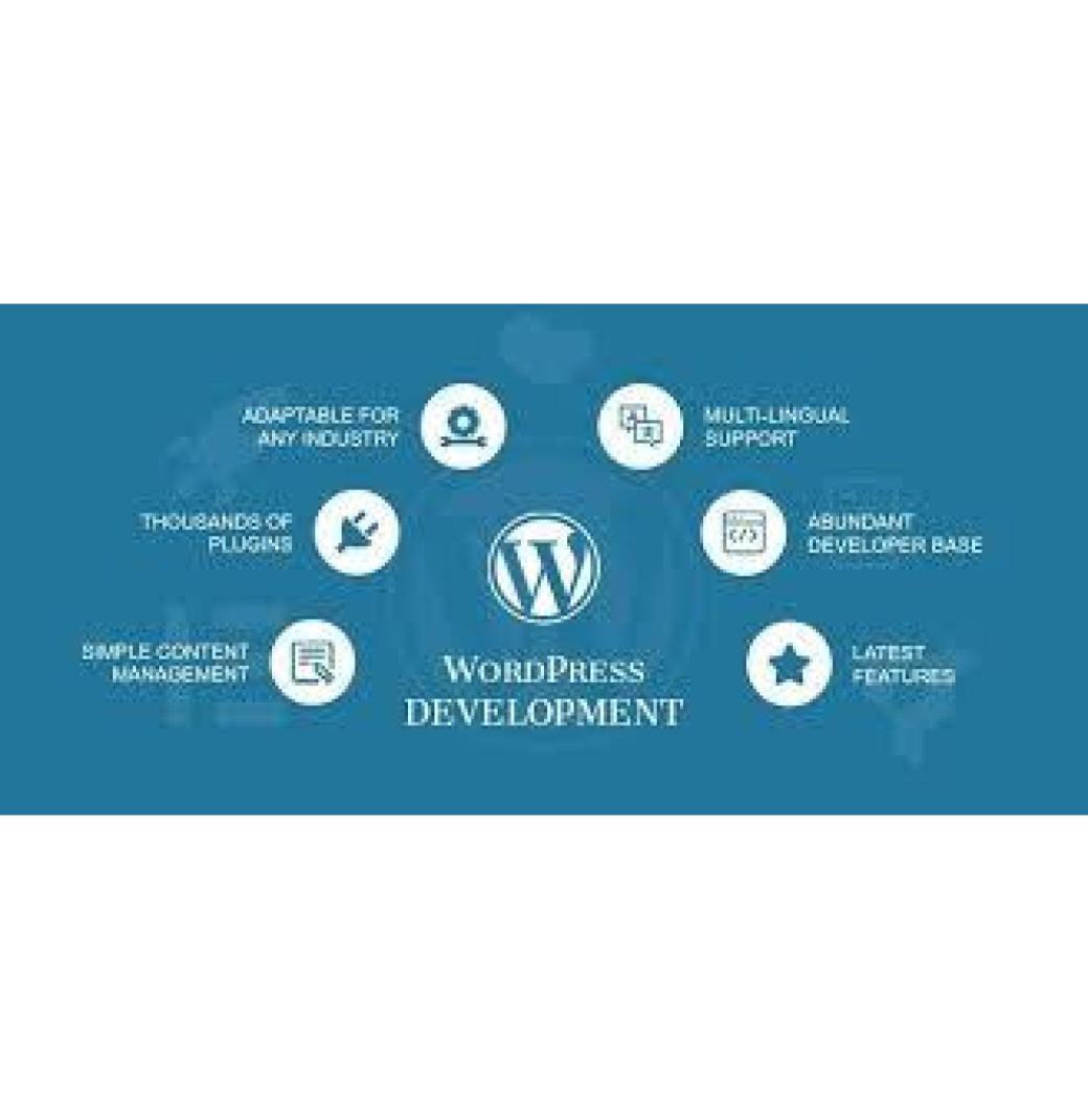 Invoidea Offers The Best WordPress Development Services in India