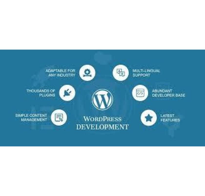Invoidea Offers The Best WordPress Development Services in India