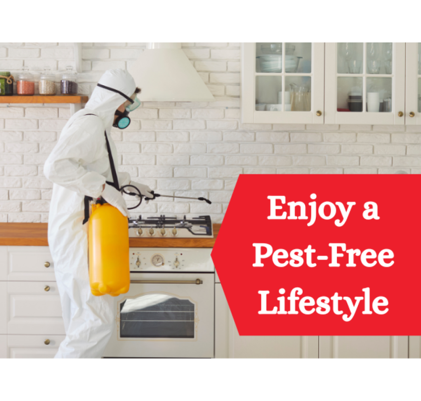 Same Day Pest Control Narre Warren