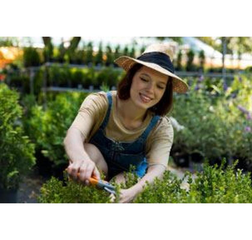 Lawn Mowers Hoppers Crossing - I love gardening