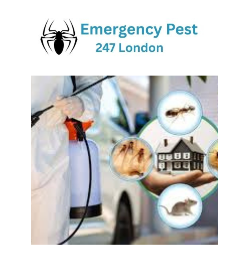 Emergency Pest Control London 24/7 – Expert Pest Control London Services