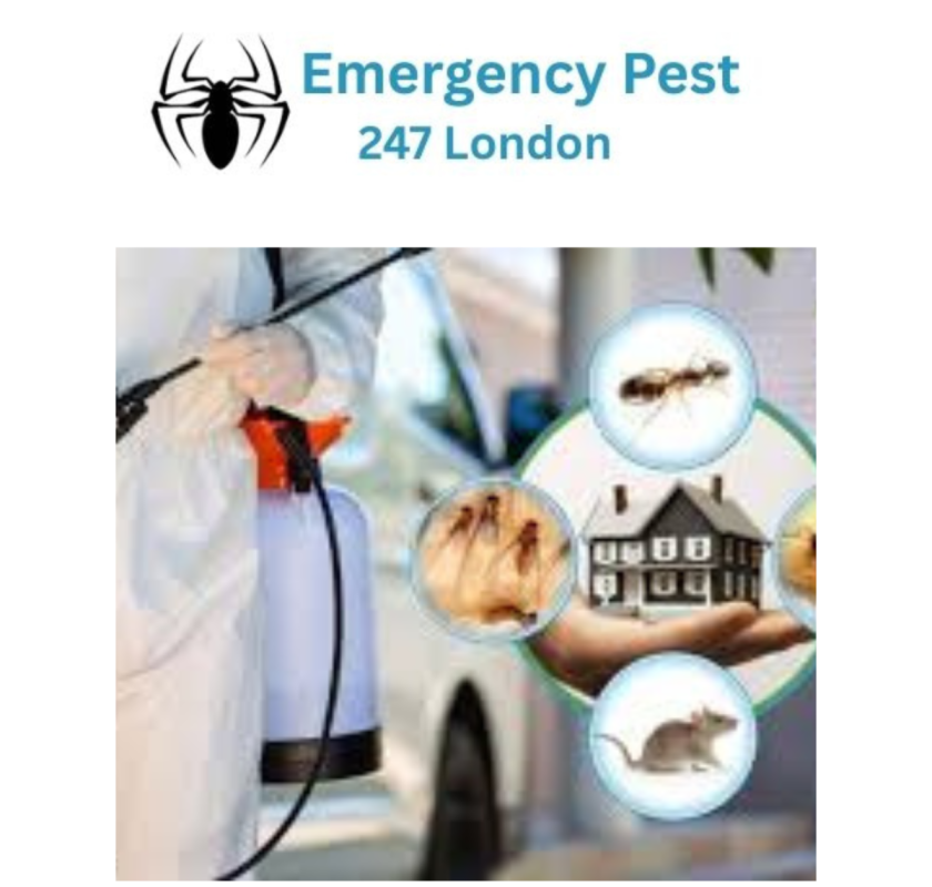 Emergency Pest Control London 24/7 – Expert Pest Control London Services