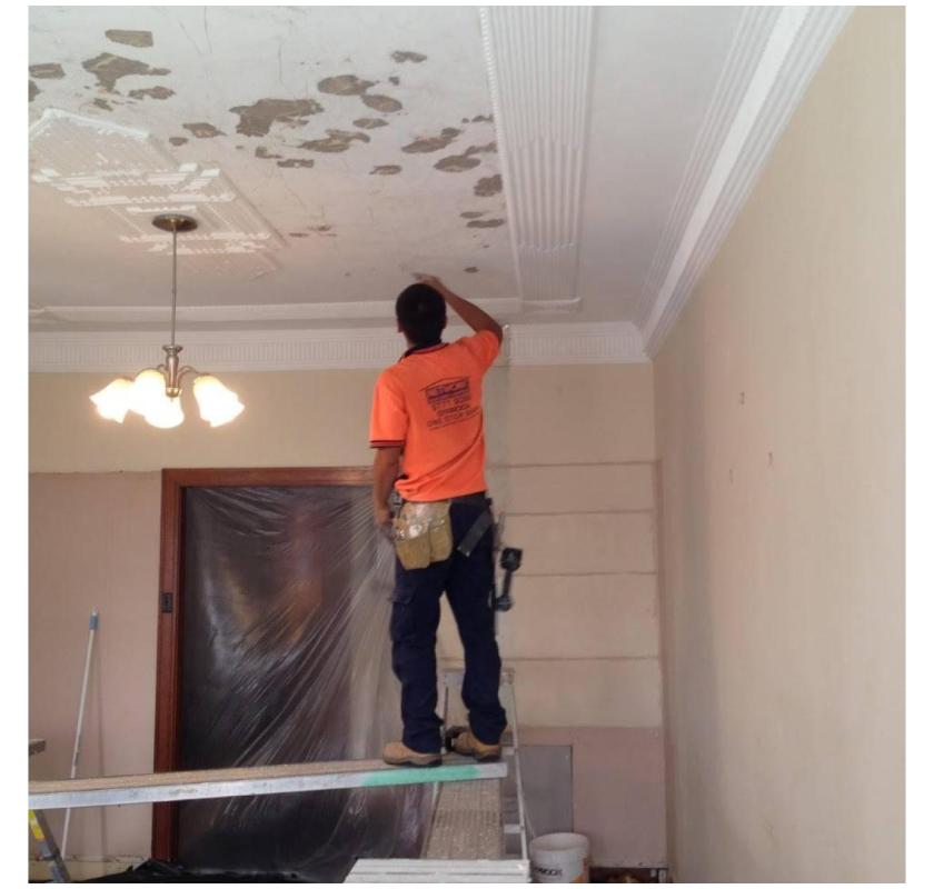 Steven Trevisan Plastering