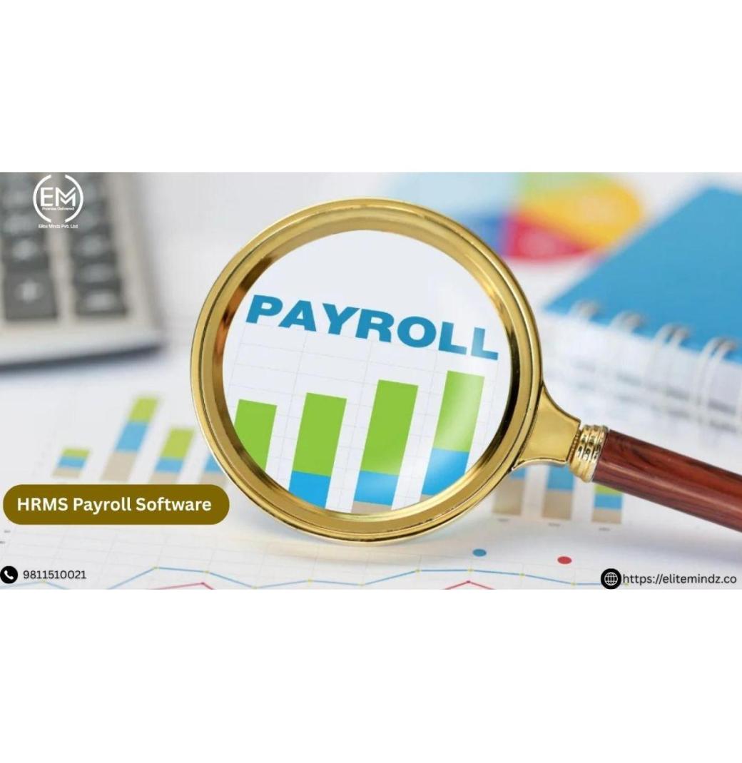 Top HRMS Payroll Management Software | Elite Mindz