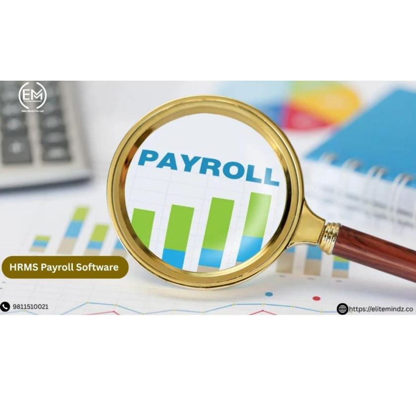 Top HRMS Payroll Management Software | Elite Mindz