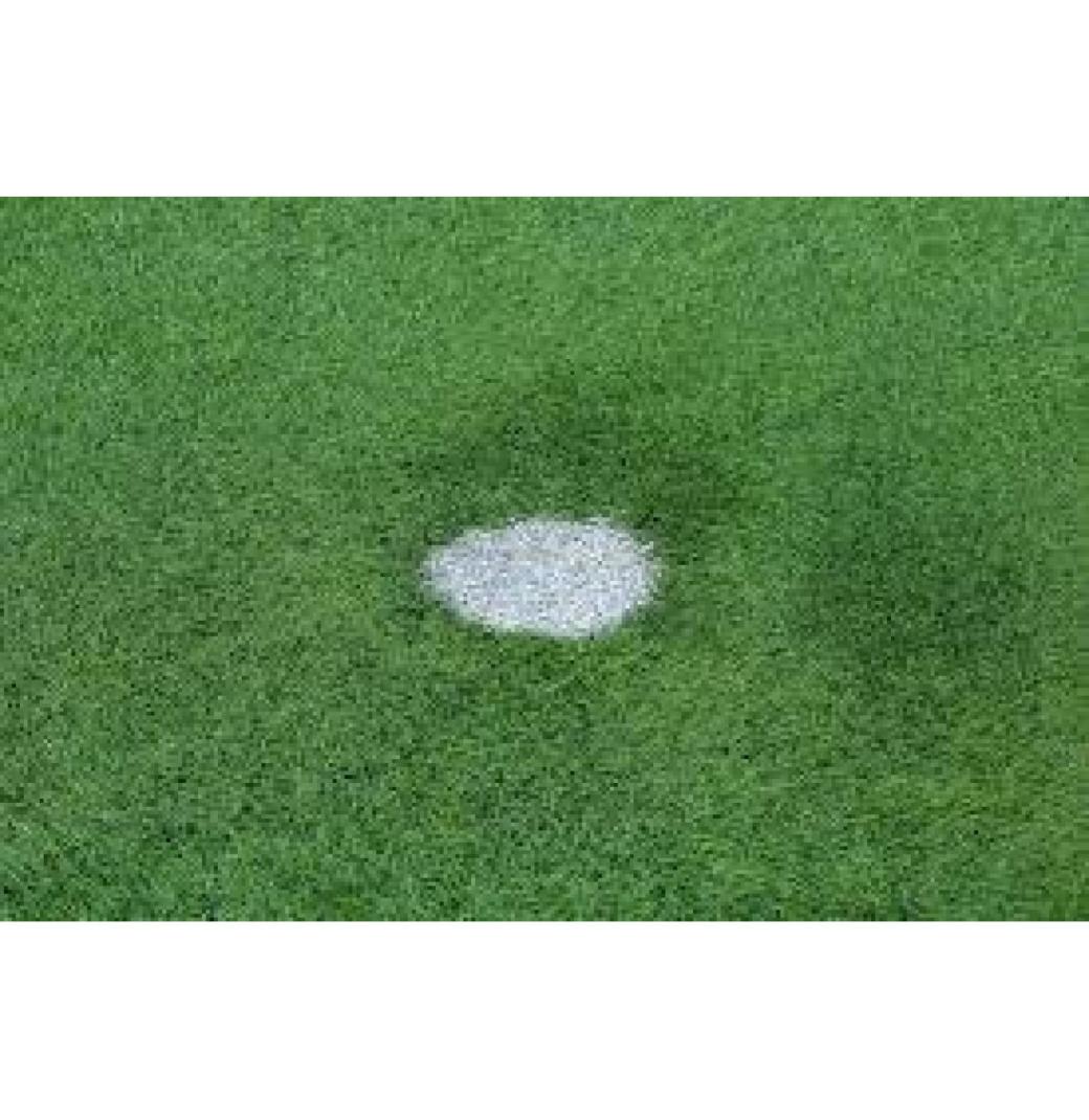 Upgrade Your Greens with Artificial Golf Turf - Order Now
