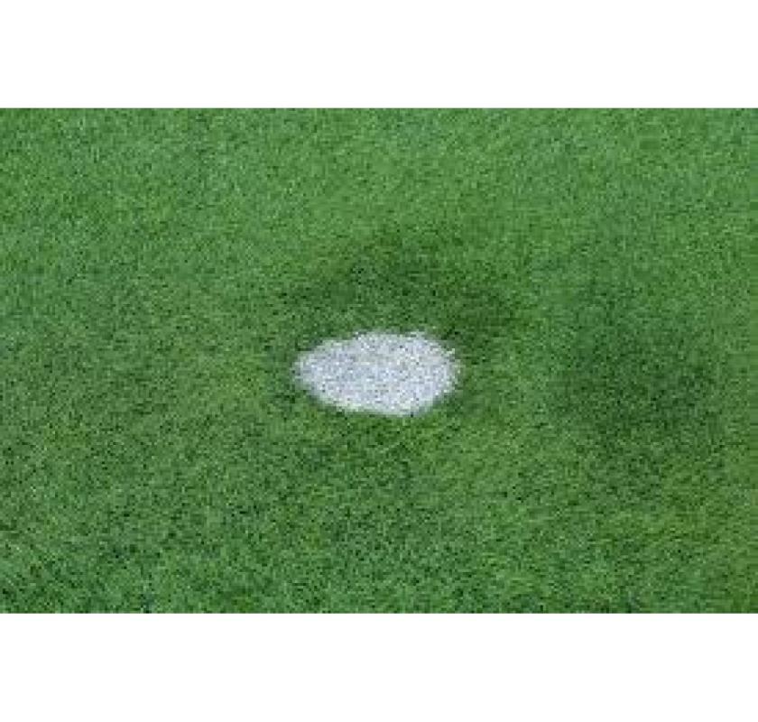 Upgrade Your Greens with Artificial Golf Turf - Order Now