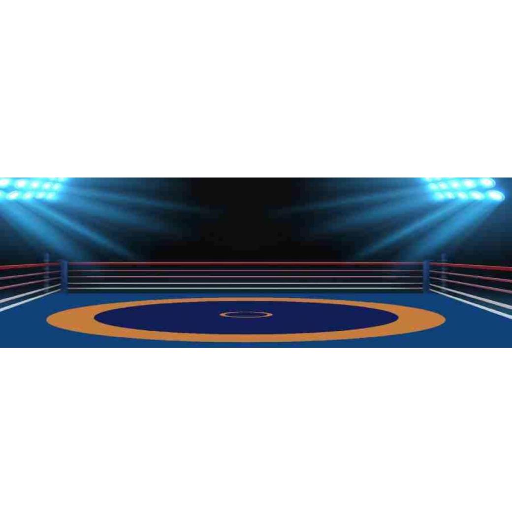 Premium Quality Wrestling Mat Supplier | Gravolite
