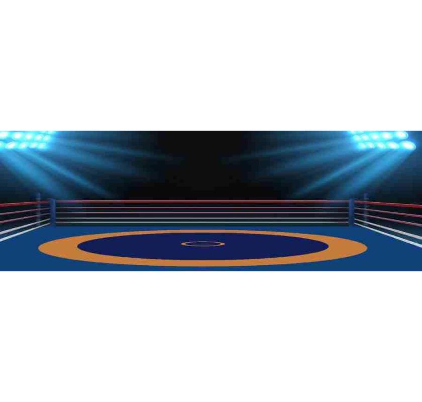 Premium Quality Wrestling Mat Supplier | Gravolite