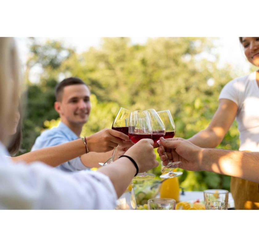 Best Guided Wine Tours in Adelaide by Aussie Kiwi Day Tours
