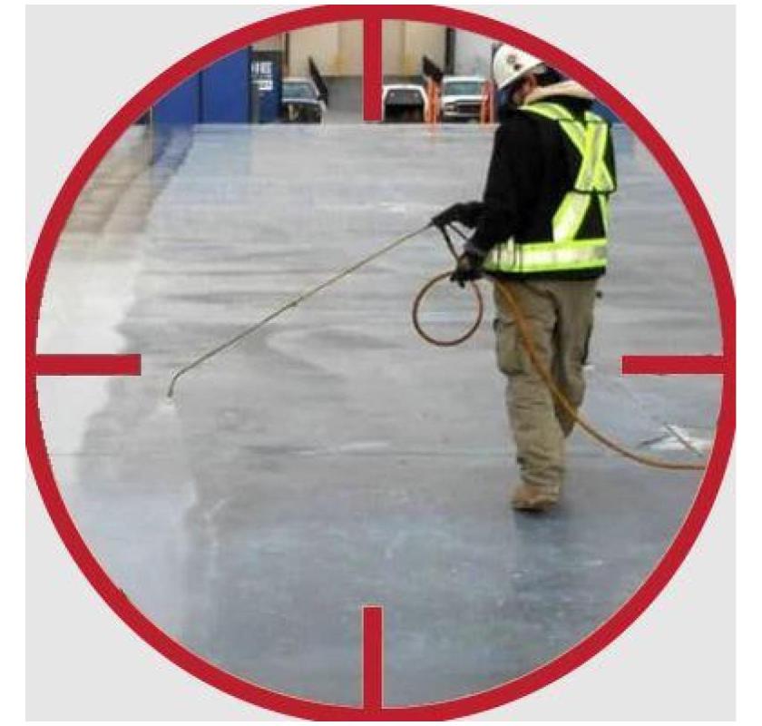 Pest Control Blue Mountains