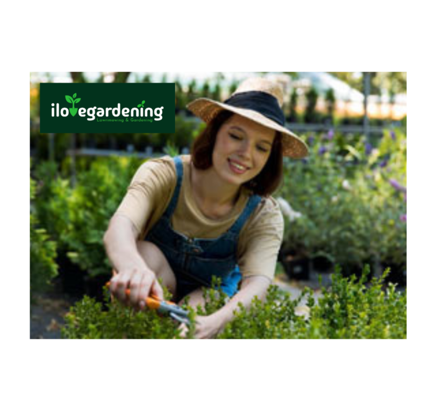 Lawn Mowing Maintenance Melbourne - I love gardening