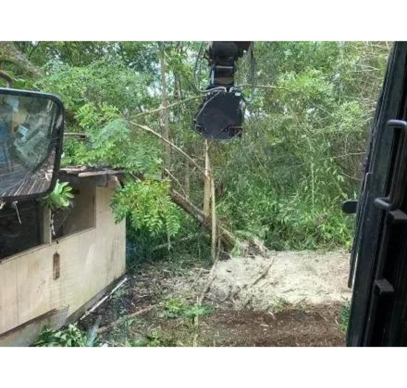 Forest Mulching for Property Maintenance - Arborist Services 