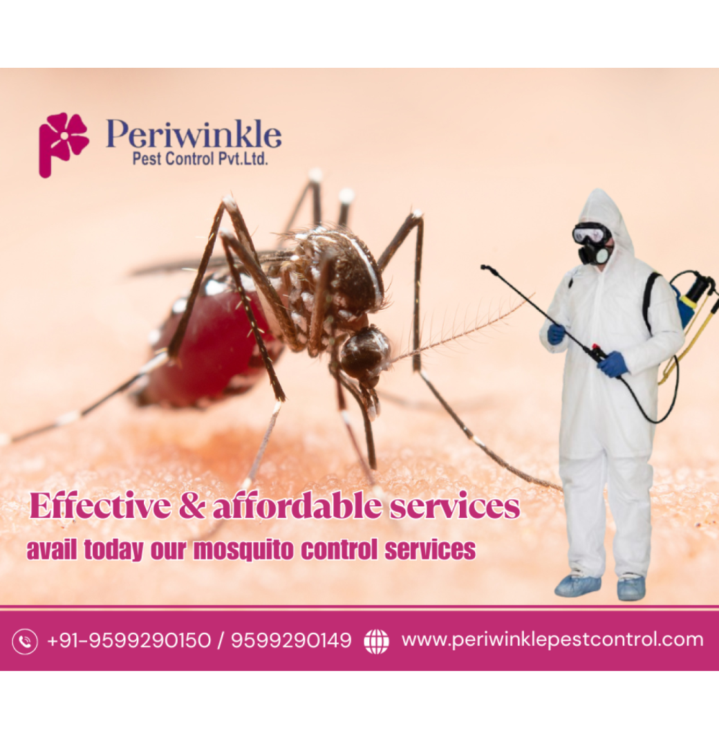Organic Mosquito Control in Greater Noida – Safe & Effective Care