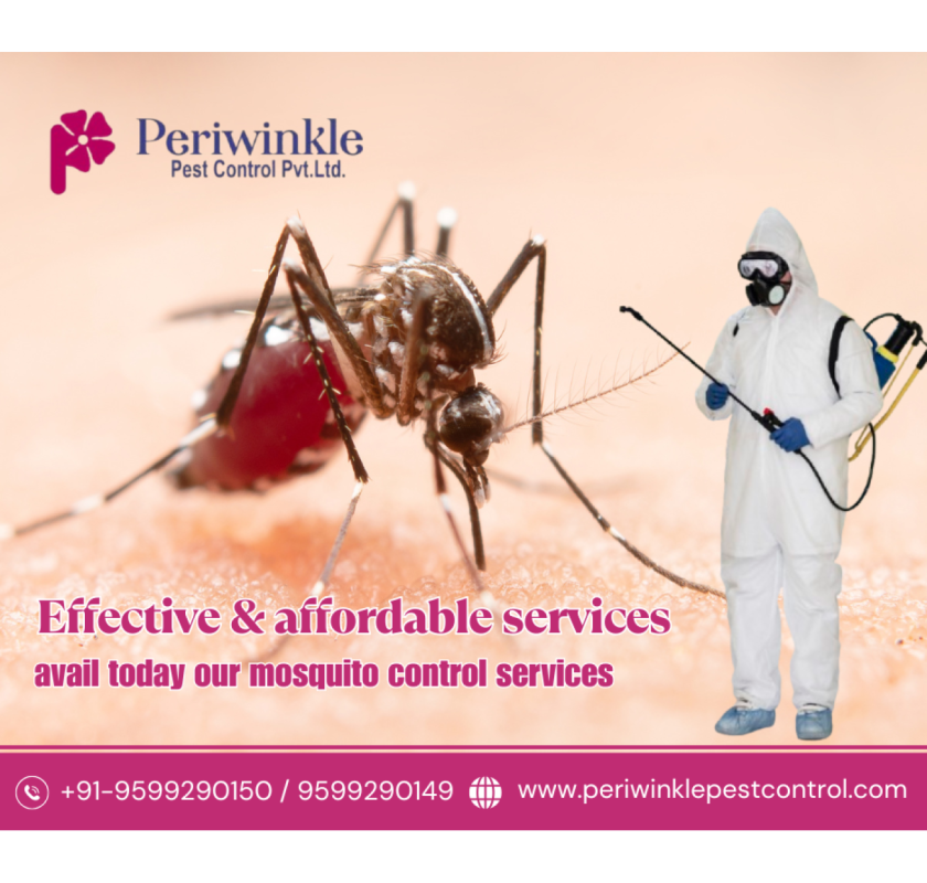 Organic Mosquito Control in Greater Noida – Safe & Effective Care