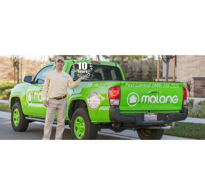 Effective Orange County Mosquito Control – Malang Pest Control