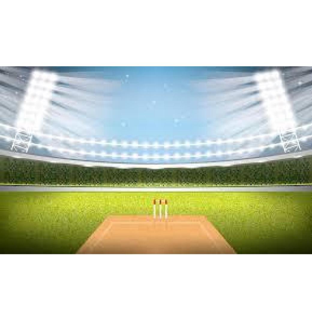 Cricket Turf Manufacturer for Pro Clubs - Contact Us & Start Winning