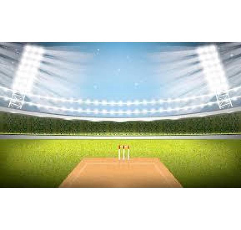 Cricket Turf Manufacturer for Pro Clubs - Contact Us & Start Winning