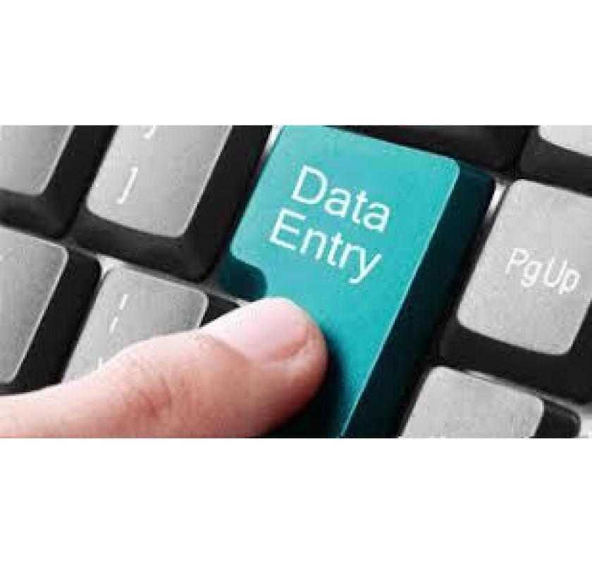  Data Entry and Typing Project Available