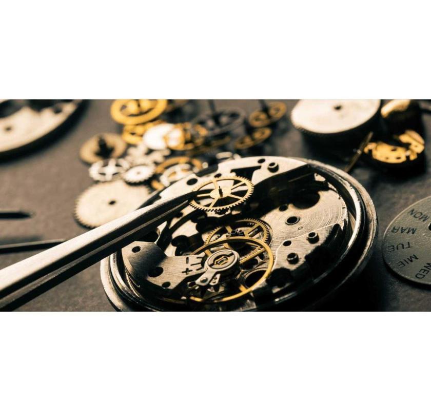 Professional Apple Watch Repair in Palmerston North