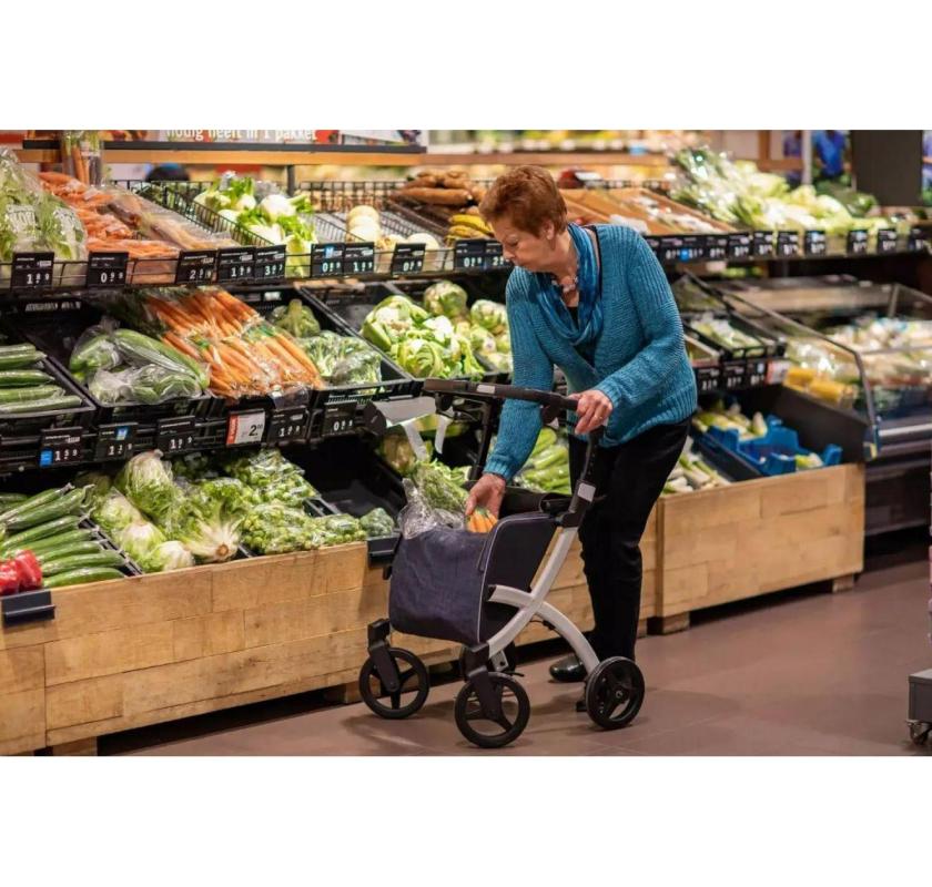 Smart Walker with Fall Detection