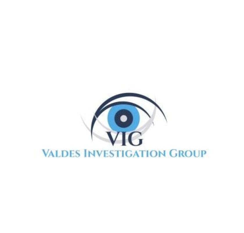 Valdes Investigation Group