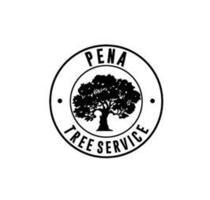 Professional Tree Care Service in Vista, CA – Pena Tree Services