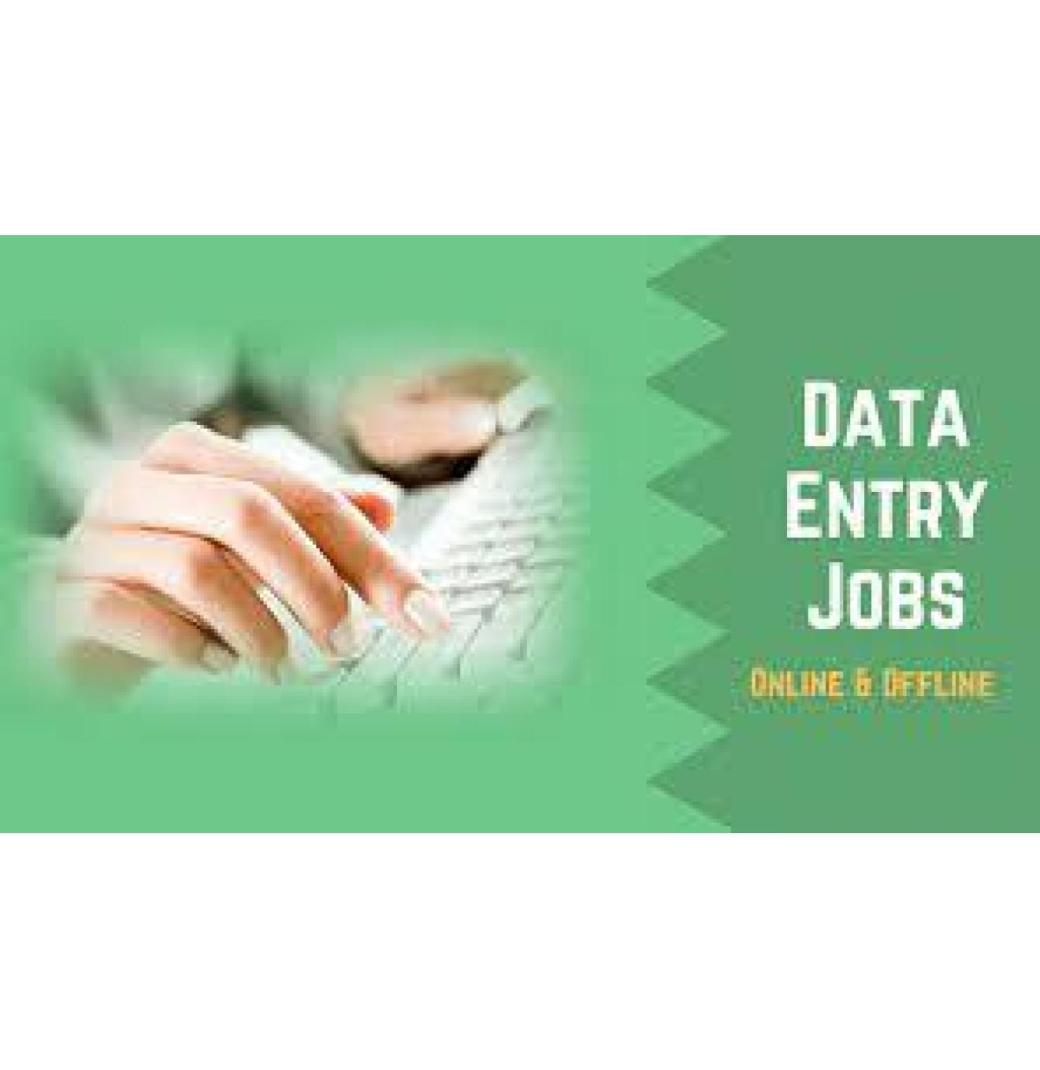  Work from Home:  Data Entry Opportunity