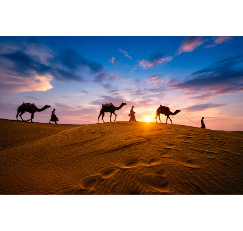 Explore the Royal Heritage with Rajasthan Tour Packages