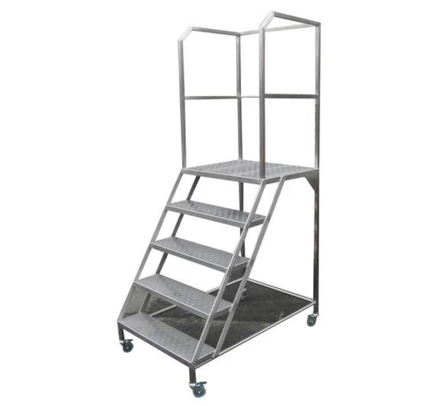 Stainless Steel Cleanroom Ladders