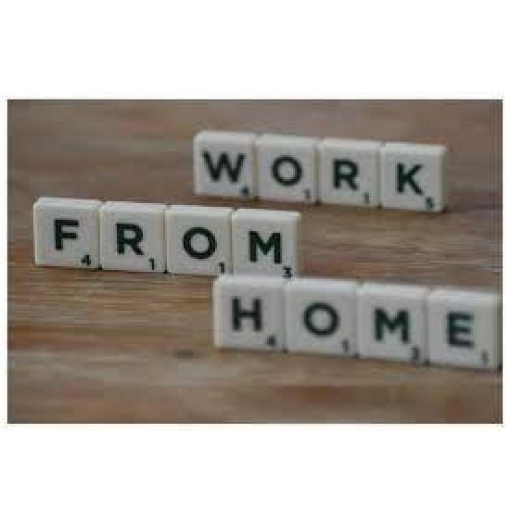  Data Entry and Typing Project Available