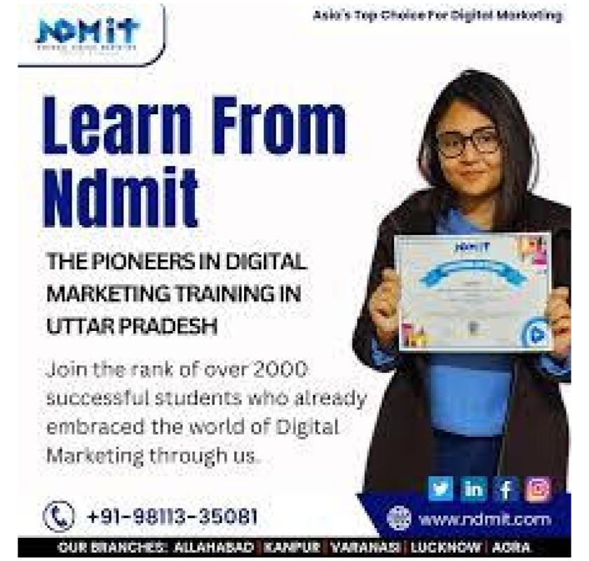 Contact NDMIT for the Online Digital Marketing Course in Agra 